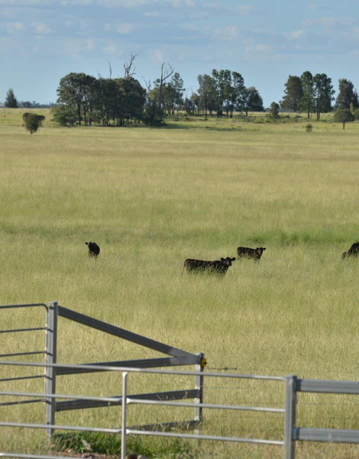 Brampton Agriculture landscape